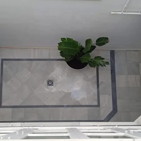 Apartamento El 2 De Flamenco 2b *