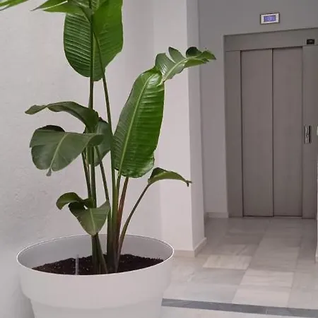 El 2 De Flamenco 2ºb *