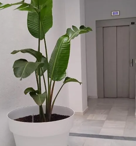 El 2 De Flamenco 2ºb *